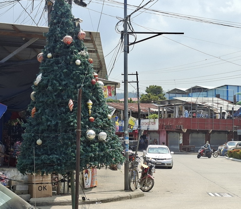 2026-04-08 Santo Tomas 20260408_130926_ji.jpg